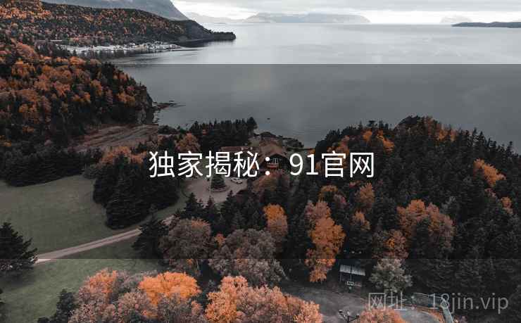 独家揭秘:91官网