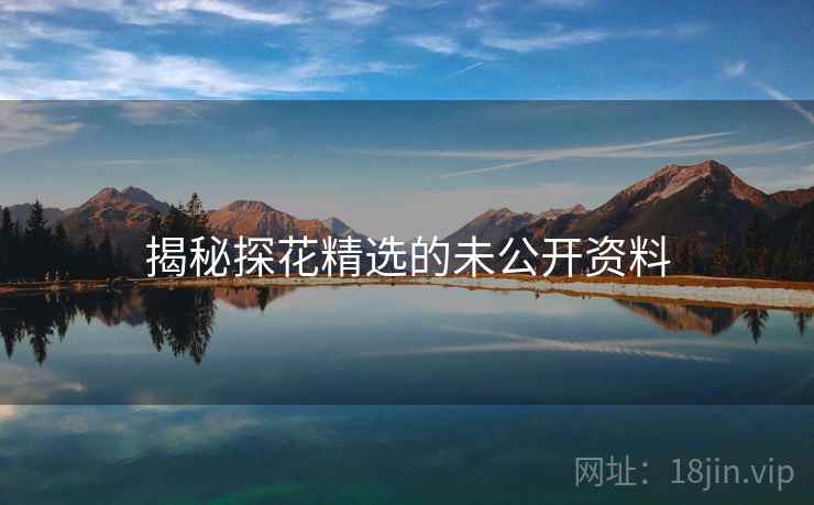 揭秘探花精选的未公开资料