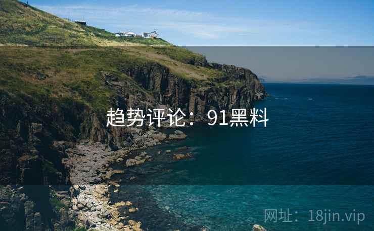 趋势评论:91黑料