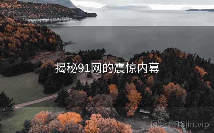 揭秘91网的震惊内幕