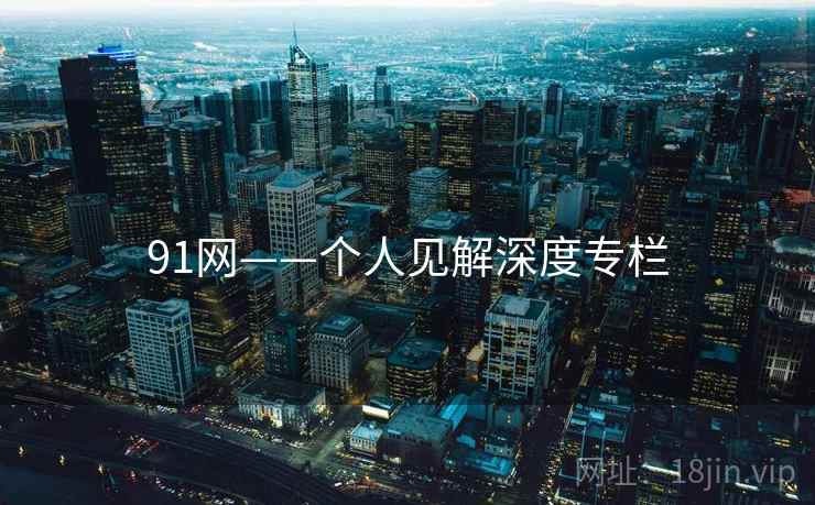 91网——个人见解深度专栏